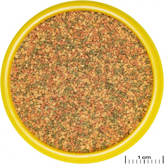 JBL Pronovo Bel Grano, Main Food for All Aquarium Fish from 3-10 cm, Fish Food Granules, Click Dispenser, Size S, 250 ml JBL Pronovo Bel Grano, Main Food for All Aquarium Fish from 3-10 cm, Fish Food Granules, Click Dispenser, Size S, 250 ml