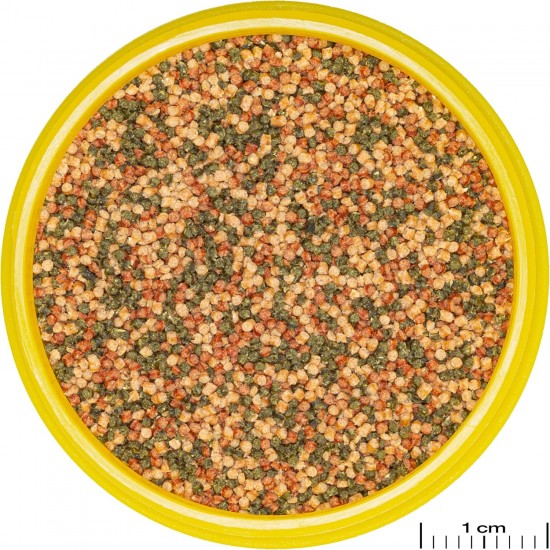 JBL Pronovo Bel Grano, Main Food for All Aquarium Fish from 3-10 cm, Fish Food Granules, Click Dispenser, Size S, 250 ml JBL Pronovo Bel Grano, Main Food for All Aquarium Fish from 3-10 cm, Fish Food Granules, Click Dispenser, Size S, 250 ml