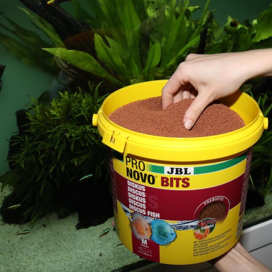 JBL Pronovo Bits Grano, Main Food for Discus and Cichlids from 3-10 cm, Fish Food Granules, Size S, 1000 ml JBL Pronovo Bits Grano, Main Food for Discus and Cichlids from 3-10 cm, Fish Food Granules, Size S, 1000 ml