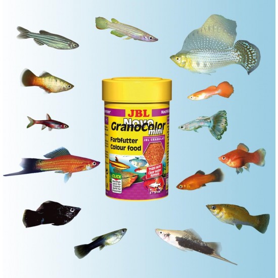 JBL Pronovo Colour Grano Click Colour Food Granules for All Aquarium Fish from 3-10 cm, Click Dispenser, Fish Food Granules, Size S, 100 ml JBL Pronovo Colour Grano Click Colour Food Granules for All Aquarium Fish from 3-10 cm, Click Dispenser, Fish Food Granules, Size S, 100 ml