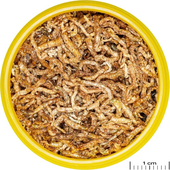 JBL Pronovo Fil, Red Mosquito Larvae, Treats for All Ornamental Fish from 3-10 cm, 100 ml JBL Pronovo Fil, Red Mosquito Larvae, Treats for All Ornamental Fish from 3-10 cm, 100 ml