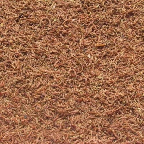 JBL Pronovo Fil, Red Mosquito Larvae, Treats for All Ornamental Fish from 3-10 cm, 100 ml JBL Pronovo Fil, Red Mosquito Larvae, Treats for All Ornamental Fish from 3-10 cm, 100 ml