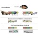 JBL Pronovo Fil, Red Mosquito Larvae, Treats for All Ornamental Fish from 3-10 cm, 100 ml
