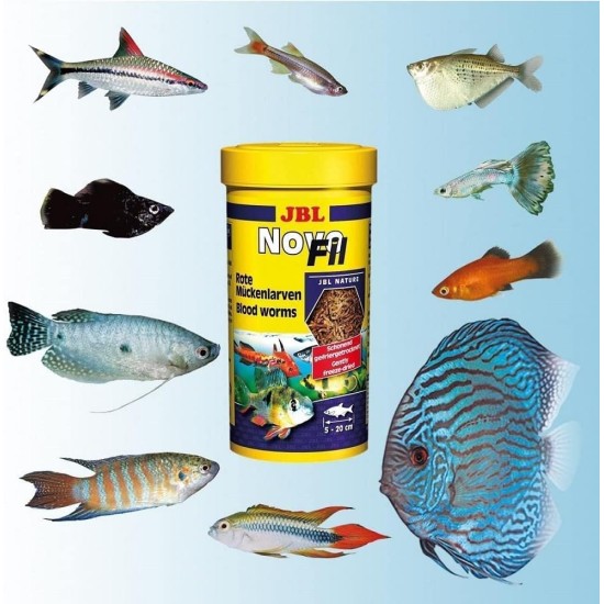 JBL Pronovo Fil, Red Mosquito Larvae, Treats for All Ornamental Fish from 3-10 cm, 100 ml JBL Pronovo Fil, Red Mosquito Larvae, Treats for All Ornamental Fish from 3-10 cm, 100 ml
