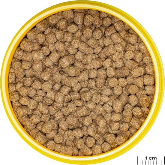 JBL Pronovo Lotl Grano, Main Food for Axolotl from 8-20 cm, Fish Food Granules, Size M, 250 ml JBL Pronovo Lotl Grano, Main Food for Axolotl from 8-20 cm, Fish Food Granules, Size M, 250 ml