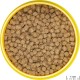 JBL Pronovo Lotl Grano, Main Food for Axolotl from 8-20 cm, Fish Food Granules, Size M, 250 ml JBL Pronovo Lotl Grano, Main Food for Axolotl from 8-20 cm, Fish Food Granules, Size M, 250 ml