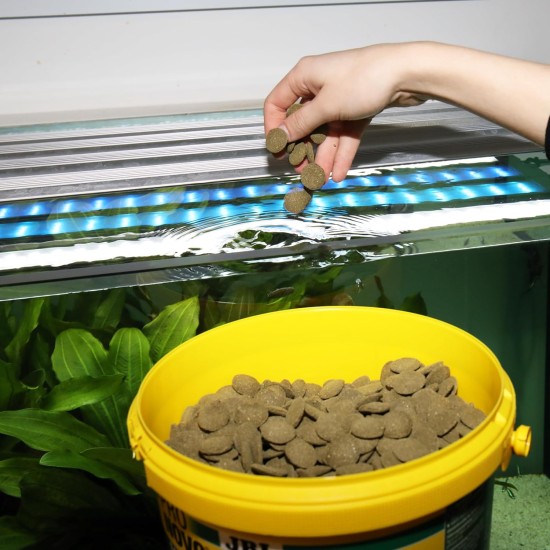 JBL Pronovo Pleco Wafer for Suction Catfish from 1-20 cm, Fish Food, Size M, 100 ml JBL Pronovo Pleco Wafer for Suction Catfish from 1-20 cm, Fish Food, Size M, 100 ml