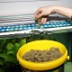 JBL Pronovo Pleco Wafer for Suction Catfish from 1-20 cm, Fish Food, Size M, 100 ml JBL Pronovo Pleco Wafer for Suction Catfish from 1-20 cm, Fish Food, Size M, 100 ml