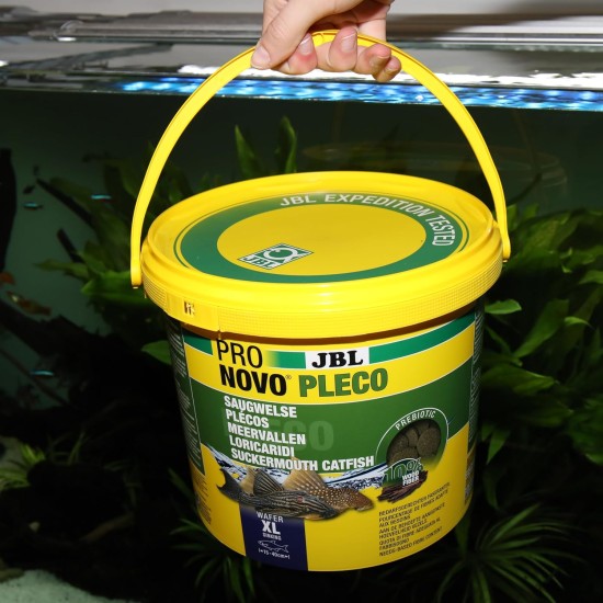 JBL Pronovo Pleco Wafer for Suction Catfish from 1-20 cm, Fish Food, Size M, 100 ml JBL Pronovo Pleco Wafer for Suction Catfish from 1-20 cm, Fish Food, Size M, 100 ml