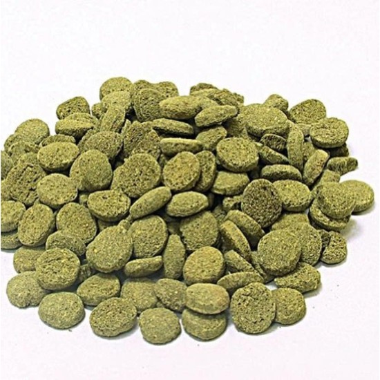 JBL Pronovo Pleco Wafer for Suction Catfish from 1-20 cm, Fish Food, Size M, 100 ml JBL Pronovo Pleco Wafer for Suction Catfish from 1-20 cm, Fish Food, Size M, 100 ml