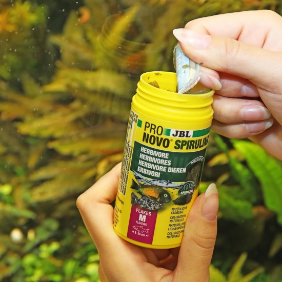 JBL Pronovo Spirulina Flakes, Green Food for All Aquarium Fish from 8-20 cm, Fish Food Flakes, Size M, 250 ml JBL Pronovo Spirulina Flakes, Green Food for All Aquarium Fish from 8-20 cm, Fish Food Flakes, Size M, 250 ml
