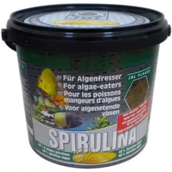 JBL Pronovo Spirulina Flakes, Green Food for All Aquarium Fish from 8-20 cm, Fish Food Flakes, Size M, 250 ml JBL Pronovo Spirulina Flakes, Green Food for All Aquarium Fish from 8-20 cm, Fish Food Flakes, Size M, 250 ml