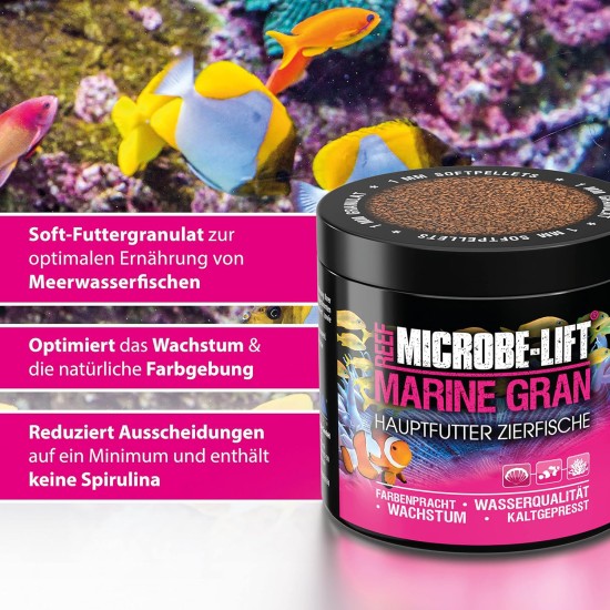 MICROBE-LIFT Marine Gran Complete Food for All Fish in Any Saltwater Aquarium, Pack of 1 (1 x 120 g) MICROBE-LIFT Marine Gran Complete Food for All Fish in Any Saltwater Aquarium, Pack of 1 (1 x 120 g)