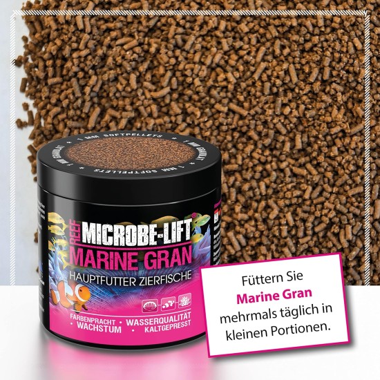 MICROBE-LIFT Marine Gran Complete Food for All Fish in Any Saltwater Aquarium, Pack of 1 (1 x 120 g) MICROBE-LIFT Marine Gran Complete Food for All Fish in Any Saltwater Aquarium, Pack of 1 (1 x 120 g)