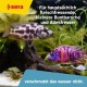 Sera Cichlid Red XL Nature 1000 ml Sera Cichlid Red XL Nature 1000 ml