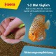 Sera Discus granules, 1000 ml Sera Discus granules, 1000 ml
