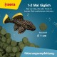 Sera Spirulina Tablets, 15g / 24 tabs Sera Spirulina Tablets, 15g / 24 tabs