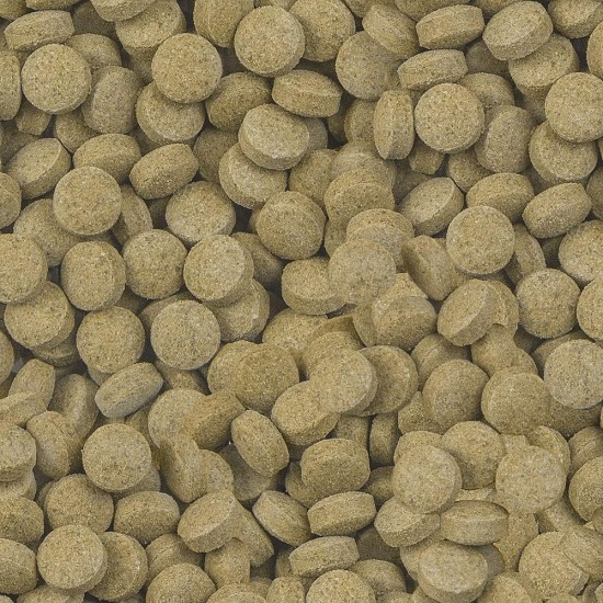Sera Viformo Tablet, 1.4 Kg Sera Viformo Tablet, 1.4 Kg