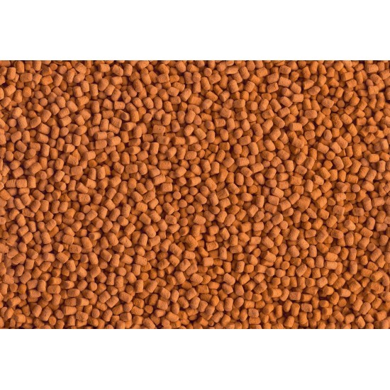 Tetra Cichlid Sticks,1.000 ml Tetra Cichlid Sticks,1.000 ml