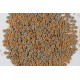 Tetra FunTips Tablets, Food Tablets to Stick on Aquarium Fish Tank Glass, Ideal for Watching Fish, Healthy Feeding Fun - Various Sizes Tetra FunTips Tablets, Food Tablets to Stick on Aquarium Fish Tank Glass, Ideal for Watching Fish, Healthy Feeding Fun - Various Sizes