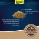 Tetra Guppy Mini Flakes, Balanced Nutritious Flakes for Guppies, Various Varieties Tetra Guppy Mini Flakes, Balanced Nutritious Flakes for Guppies, Various Varieties
