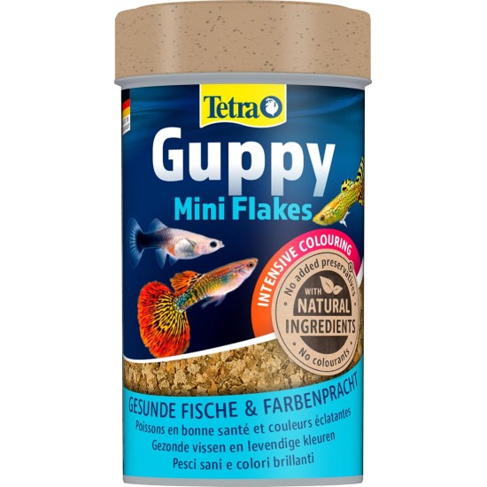 Tetra Guppy Mini Flakes, Balanced Nutritious Flakes for Guppies, Various Varieties Tetra Guppy Mini Flakes, Balanced Nutritious Flakes for Guppies, Various Varieties
