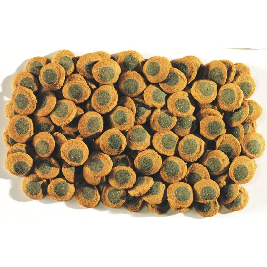 Tetra Pleco Wafers Main Food for Bottom Fish Tetra Pleco Wafers Main Food for Bottom Fish
