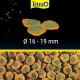Tetra Pleco Wafers Main Food for Bottom Fish