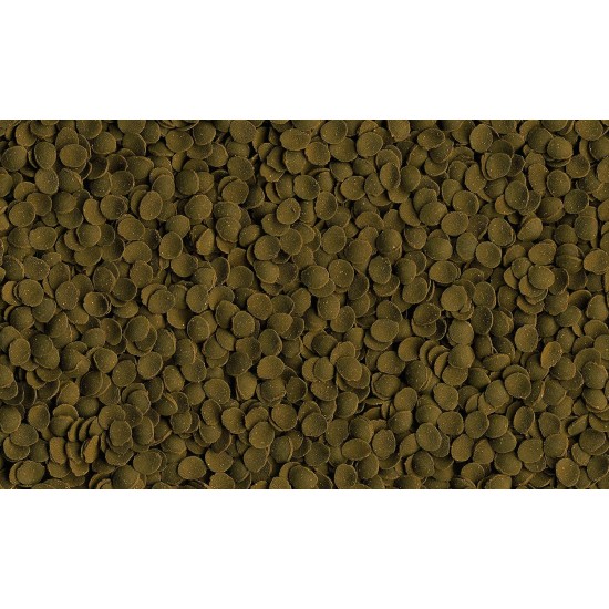 Tetra Pleco Wafers Main Food for Bottom Fish Tetra Pleco Wafers Main Food for Bottom Fish