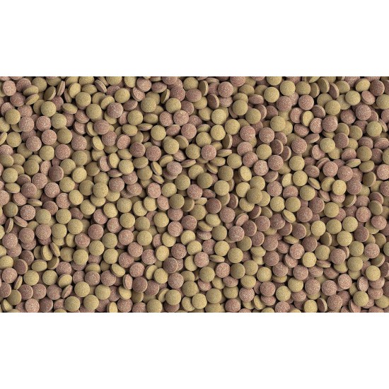 Tetra TabiMin Complete Feed for Bottom-Feeding and Shy Fish, Provides an Optimal Varied Diet, Packs Available in Various Sizes Tetra TabiMin Complete Feed for Bottom-Feeding and Shy Fish, Provides an Optimal Varied Diet, Packs Available in Various Sizes