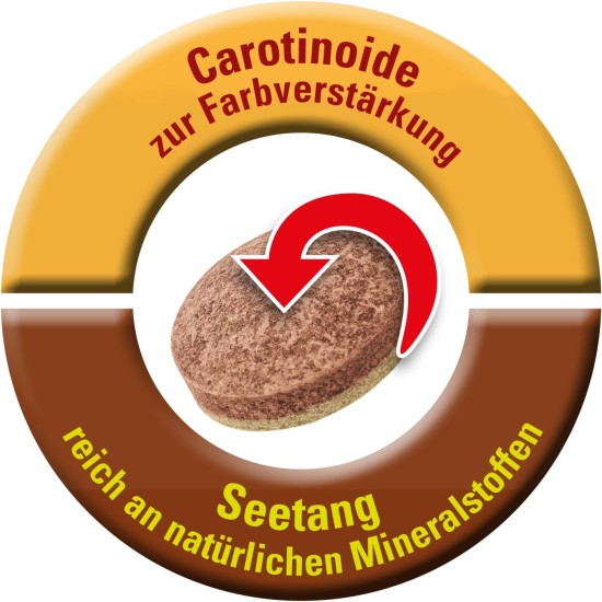 Tetra TabiMin Complete Feed for Bottom-Feeding and Shy Fish, Provides an Optimal Varied Diet, Packs Available in Various Sizes Tetra TabiMin Complete Feed for Bottom-Feeding and Shy Fish, Provides an Optimal Varied Diet, Packs Available in Various Sizes