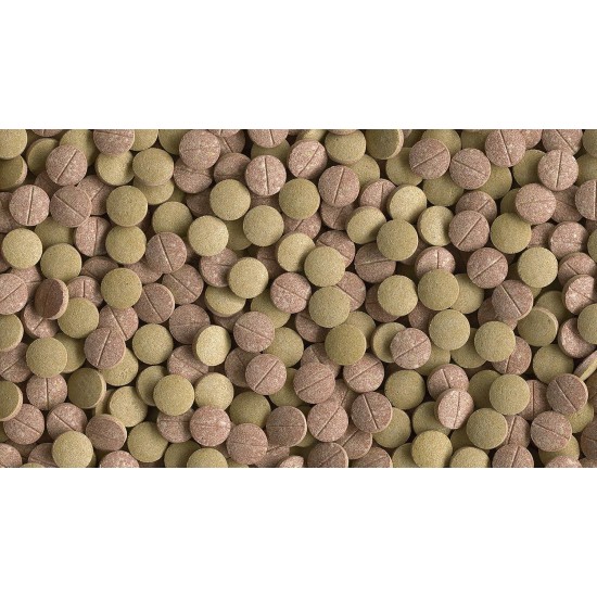 Tetra TabiMin Complete Feed for Bottom-Feeding and Shy Fish, Provides an Optimal Varied Diet, Packs Available in Various Sizes Tetra TabiMin Complete Feed for Bottom-Feeding and Shy Fish, Provides an Optimal Varied Diet, Packs Available in Various Sizes