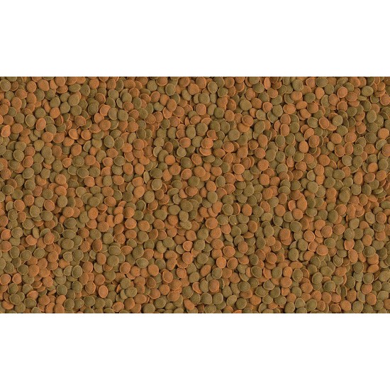 Tetra wafer Mix – Fish Food for All Ground Fish (for Example Catfish) and Crabs, for Healthy Growth and a Better Resistance, Various Sizes, 250 ml, 250 ml Tetra wafer Mix – Fish Food for All Ground Fish (for Example Catfish) and Crabs, for Healthy Growth and a Better Resistance, Various Sizes, 250 ml, 250 ml