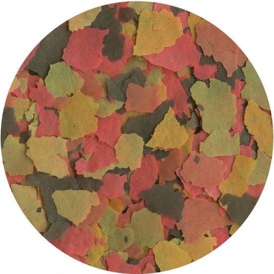 TetraMin Flakes, Flake-Shaped Fish Food for All Ornamental Fish, Balanced Blend for Healthy Fish and Clear Water, 1 L Tin TetraMin Flakes, Flake-Shaped Fish Food for All Ornamental Fish, Balanced Blend for Healthy Fish and Clear Water, 1 L Tin