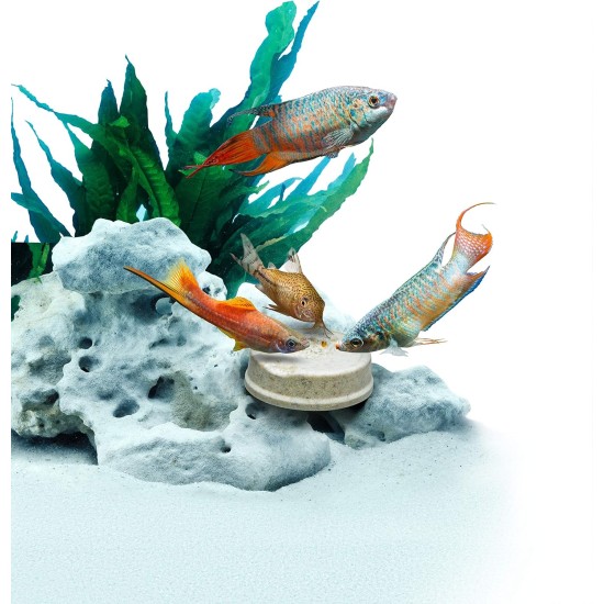 TetraMin Holiday Food for a balanced diet of all ornamental fish, lasts up to 14 days, different variations, Menu TetraMin Holiday Food for a balanced diet of all ornamental fish, lasts up to 14 days, different variations, Menu
