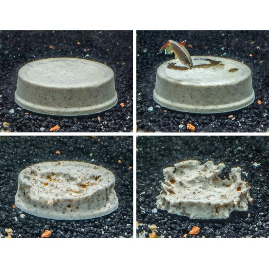TetraMin Holiday Food for a balanced diet of all ornamental fish, lasts up to 14 days, different variations, Menu TetraMin Holiday Food for a balanced diet of all ornamental fish, lasts up to 14 days, different variations, Menu