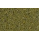 TetraPhyll Main Food for All Pflanzenfressenden Ornamental Fish TetraPhyll Main Food for All Pflanzenfressenden Ornamental Fish