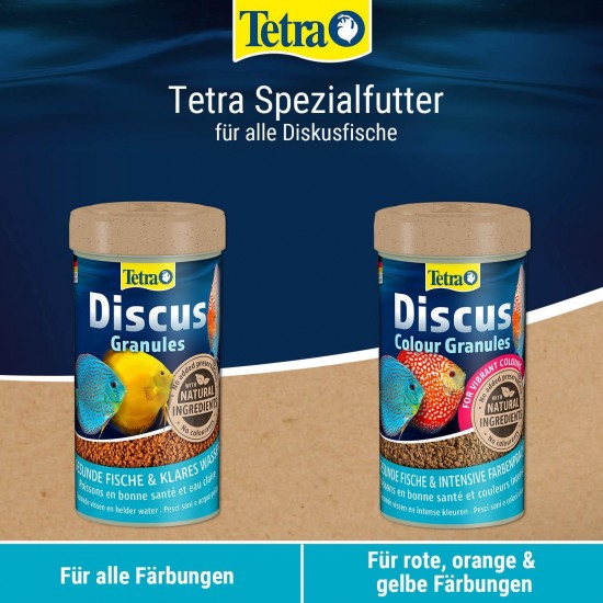 Tetradiscus, specially adapted to the dietary needs of discus fish, in granulate form, 1 can (1 x 250 ml) Tetradiscus, specially adapted to the dietary needs of discus fish, in granulate form, 1 can (1 x 250 ml)