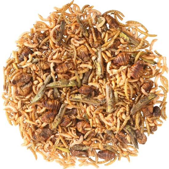 Dehner Aqua Pond Fish Snack, Fish Food Protein Mix, Silkworms, Mealworms, Gammarus, Grasshoppers, 200g Dehner Aqua Pond Fish Snack, Fish Food Protein Mix, Silkworms, Mealworms, Gammarus, Grasshoppers, 200g
