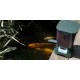 Fish Mate Automatic Pond Fish Feeder P7000 Rainproof 7 Litre Capacity Fish Mate Automatic Pond Fish Feeder P7000 Rainproof 7 Litre Capacity