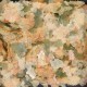 JBL PROPOND All Seasons Flakes 0.14 kg (1 L) | All Season Food Flakes for All Pond Fish | Healthy & Balanced Diet | Floating | from 10 °C JBL PROPOND All Seasons Flakes 0.14 kg (1 L) | All Season Food Flakes for All Pond Fish | Healthy & Balanced Diet | Floating | from 10 °C