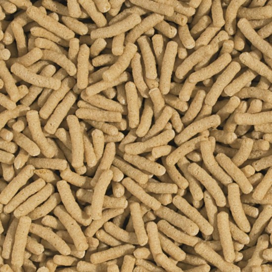 KOI&Goldfish Basic Sticks 10L / 800G - Teichfischfutter, schwimmende Sticks für die tägliche Fütterung von Koi, Goldfischen KOI&Goldfish Basic Sticks 10L / 800G - Teichfischfutter, schwimmende Sticks für die tägliche Fütterung von Koi, Goldfischen