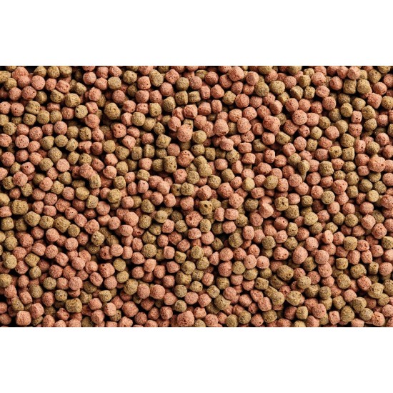 OASE Dynamix Koi Pellet Large 20 L Koi Food for All Koi from 20 cm Body Length, Pond Fish Food in Pellet Form (7-8 mm), for a Balanced Diet OASE Dynamix Koi Pellet Large 20 L Koi Food for All Koi from 20 cm Body Length, Pond Fish Food in Pellet Form (7-8 mm), for a Balanced Diet