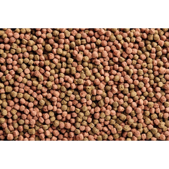 OASE Dynamix Koi Pellet Large 8 L, Fish Food, Koi Food, Pond Fish Food, 7-8 mm Pellets, Balanced Nutrition for All Koi from 20 cm Body Length, Naturally Beautiful Growth OASE Dynamix Koi Pellet Large 8 L, Fish Food, Koi Food, Pond Fish Food, 7-8 mm Pellets, Balanced Nutrition for All Koi from 20 cm Body Length, Naturally Beautiful Growth