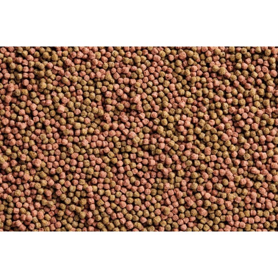 OASE Dynamix Koi Pellet Large 8 L, Fish Food, Koi Food, Pond Fish Food, 7-8 mm Pellets, Balanced Nutrition for All Koi from 20 cm Body Length, Naturally Beautiful Growth OASE Dynamix Koi Pellet Large 8 L, Fish Food, Koi Food, Pond Fish Food, 7-8 mm Pellets, Balanced Nutrition for All Koi from 20 cm Body Length, Naturally Beautiful Growth