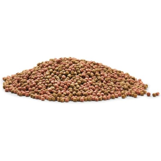 OASE Dynamix Koi Pellet Small 4 L, Fish Food, Koi Food, Pond Fish Food, 3-4 mm Pellets, Balanced Nutrition for All Koi up to 20 cm Body Length, Naturally Beautiful Growth OASE Dynamix Koi Pellet Small 4 L, Fish Food, Koi Food, Pond Fish Food, 3-4 mm Pellets, Balanced Nutrition for All Koi up to 20 cm Body Length, Naturally Beautiful Growth