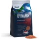OASE Dynamix Sticks Colour 20 L, Fish Food, Pond Fish Food, Brilliance and Intense Colour for Red Fish, Even Growth, Iridescent Colours, Natural Pigments from Shrimp Flour OASE Dynamix Sticks Colour 20 L, Fish Food, Pond Fish Food, Brilliance and Intense Colour for Red Fish, Even Growth, Iridescent Colours, Natural Pigments from Shrimp Flour