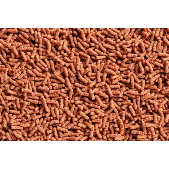 OASE Dynamix Sticks Colour 4 L Pond Fish Food with Natural Pigments Made from Shrimp Flour for Brilliance and Intense Colour for Red-Coloured Fish, Even Growth OASE Dynamix Sticks Colour 4 L Pond Fish Food with Natural Pigments Made from Shrimp Flour for Brilliance and Intense Colour for Red-Coloured Fish, Even Growth