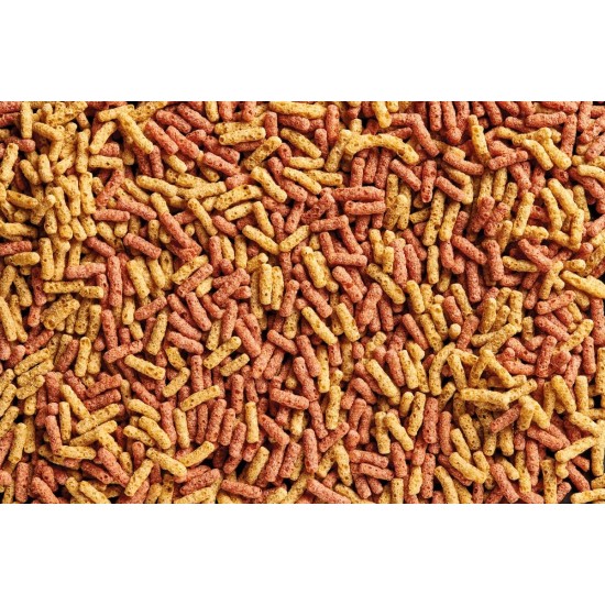 OASE Dynamix Sticks Mix 20 L, Fish Food, Pond Fish Food, Ideal for Mixed Keeping of Natural and Red Coloured Fish, Even Growth, Iridescent Colours, Improved Vitamin Absorption OASE Dynamix Sticks Mix 20 L, Fish Food, Pond Fish Food, Ideal for Mixed Keeping of Natural and Red Coloured Fish, Even Growth, Iridescent Colours, Improved Vitamin Absorption