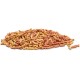 OASE Dynamix Sticks Mix 4 L - Food for Pond Fish for Even Growth and Iridescent Colours, Ideal for Mixed Keeping of Natural and Red-Coloured Fish OASE Dynamix Sticks Mix 4 L - Food for Pond Fish for Even Growth and Iridescent Colours, Ideal for Mixed Keeping of Natural and Red-Coloured Fish